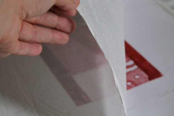 Rouge - immagine 5